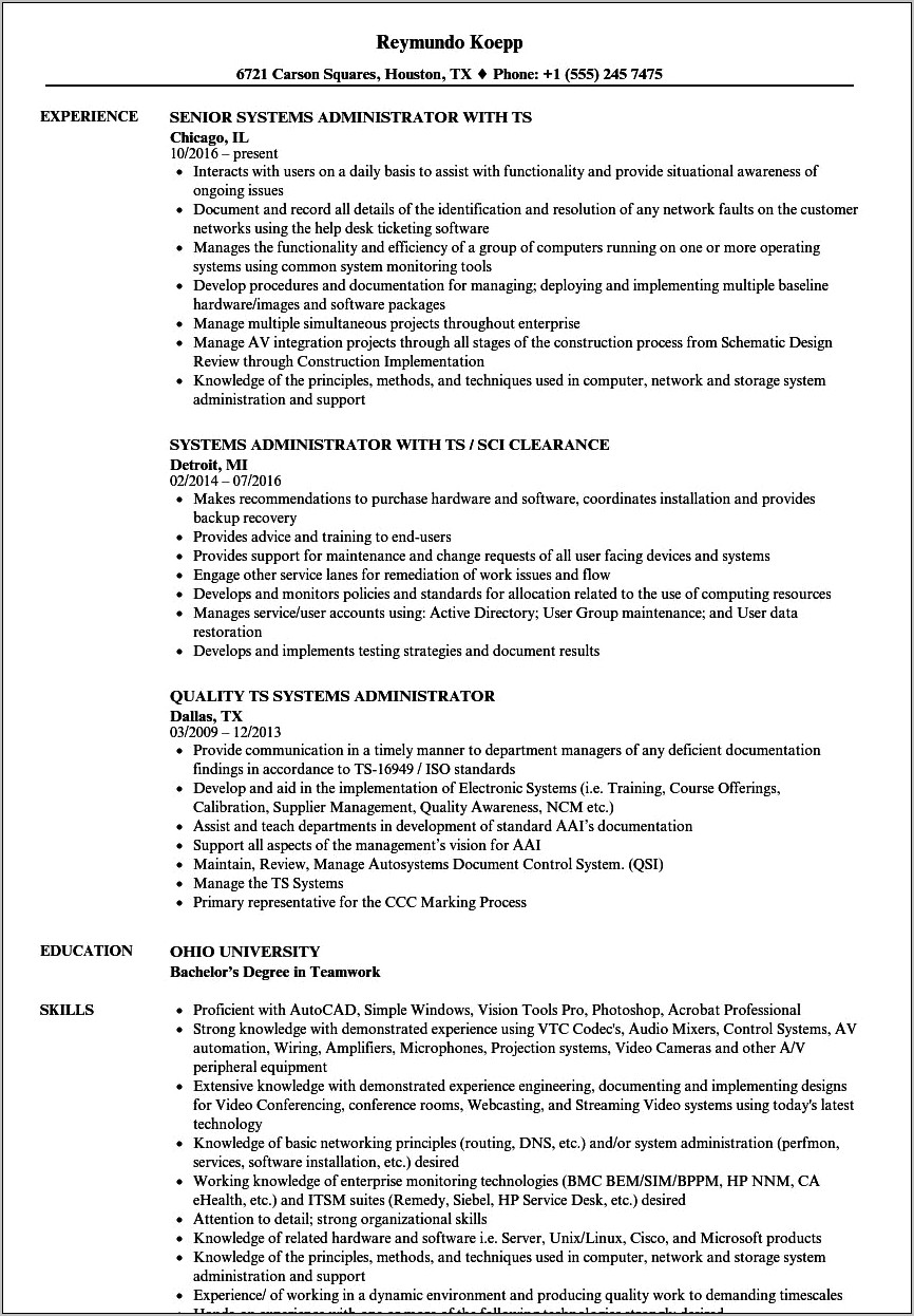 Example Of Active Clearace On Resume