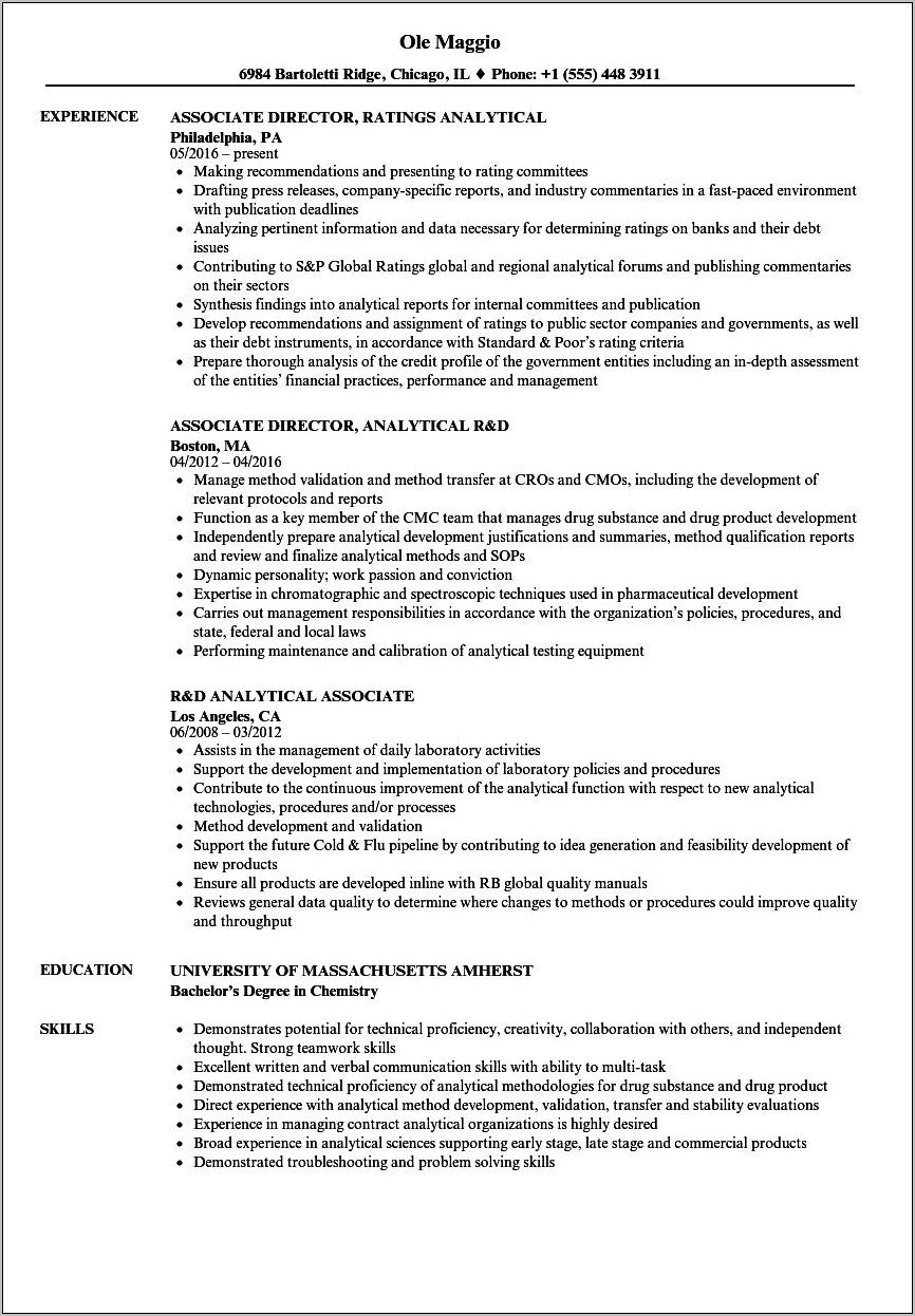 Example Of Analytical Resume Format