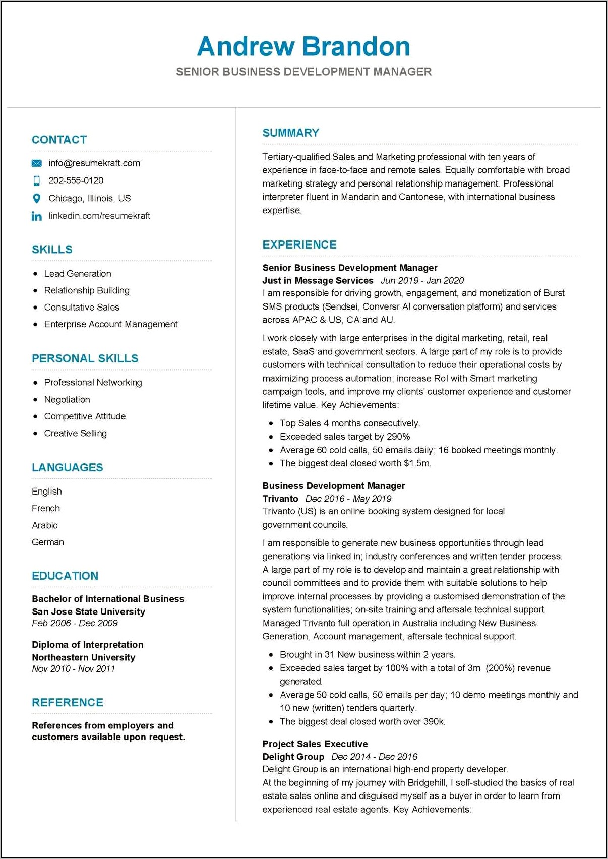Example Of Business Development Manager Resume