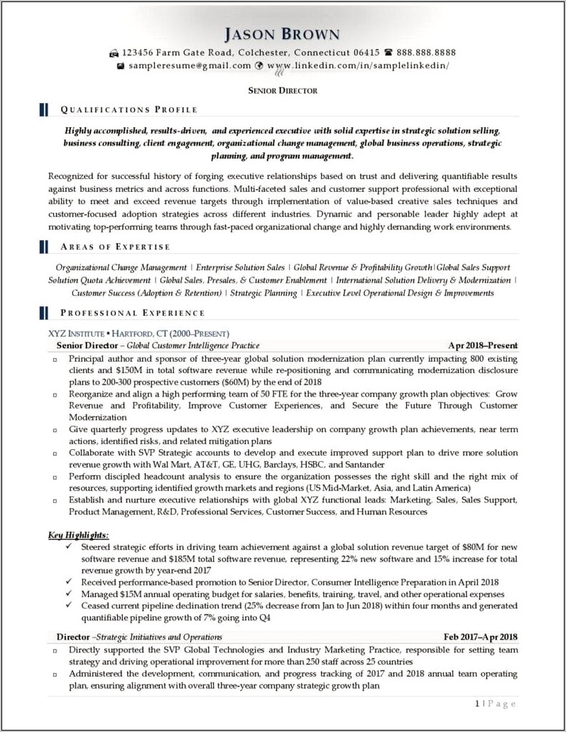 Example Of Dierector Of Support Resume