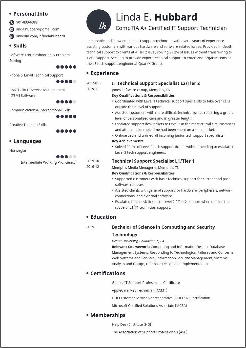 Example Of Director Of Support Resume