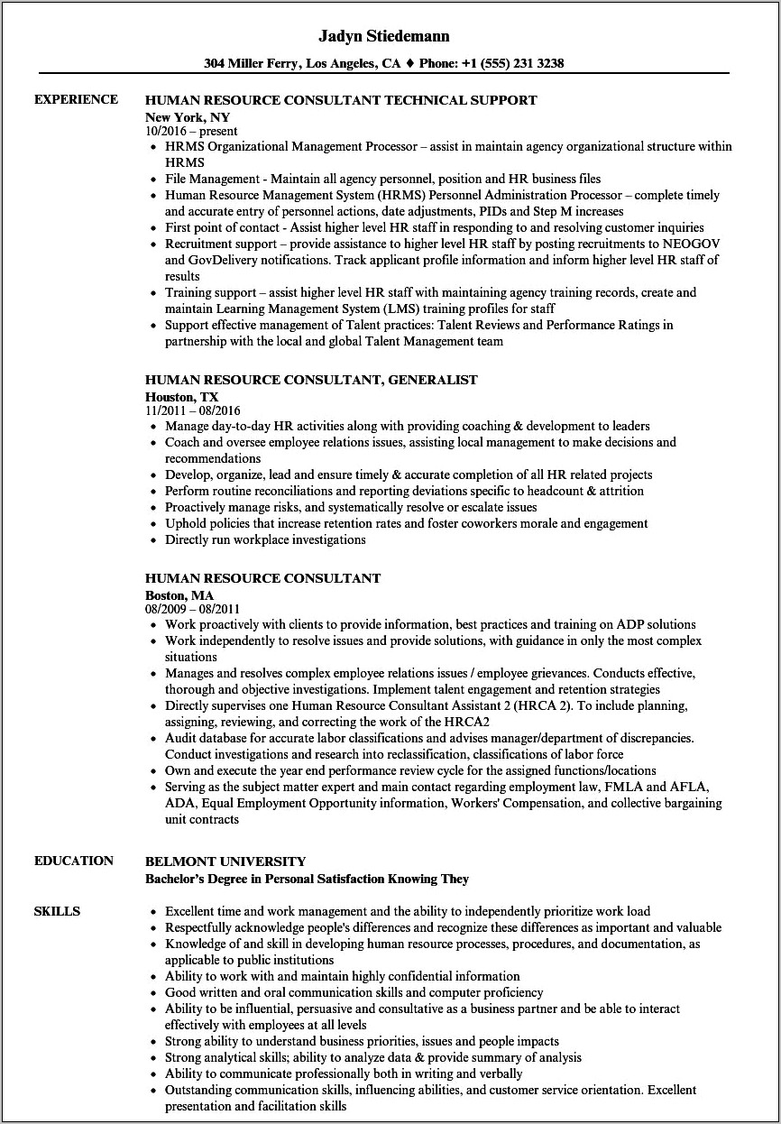 Example Of Human Resources Consultant Resume