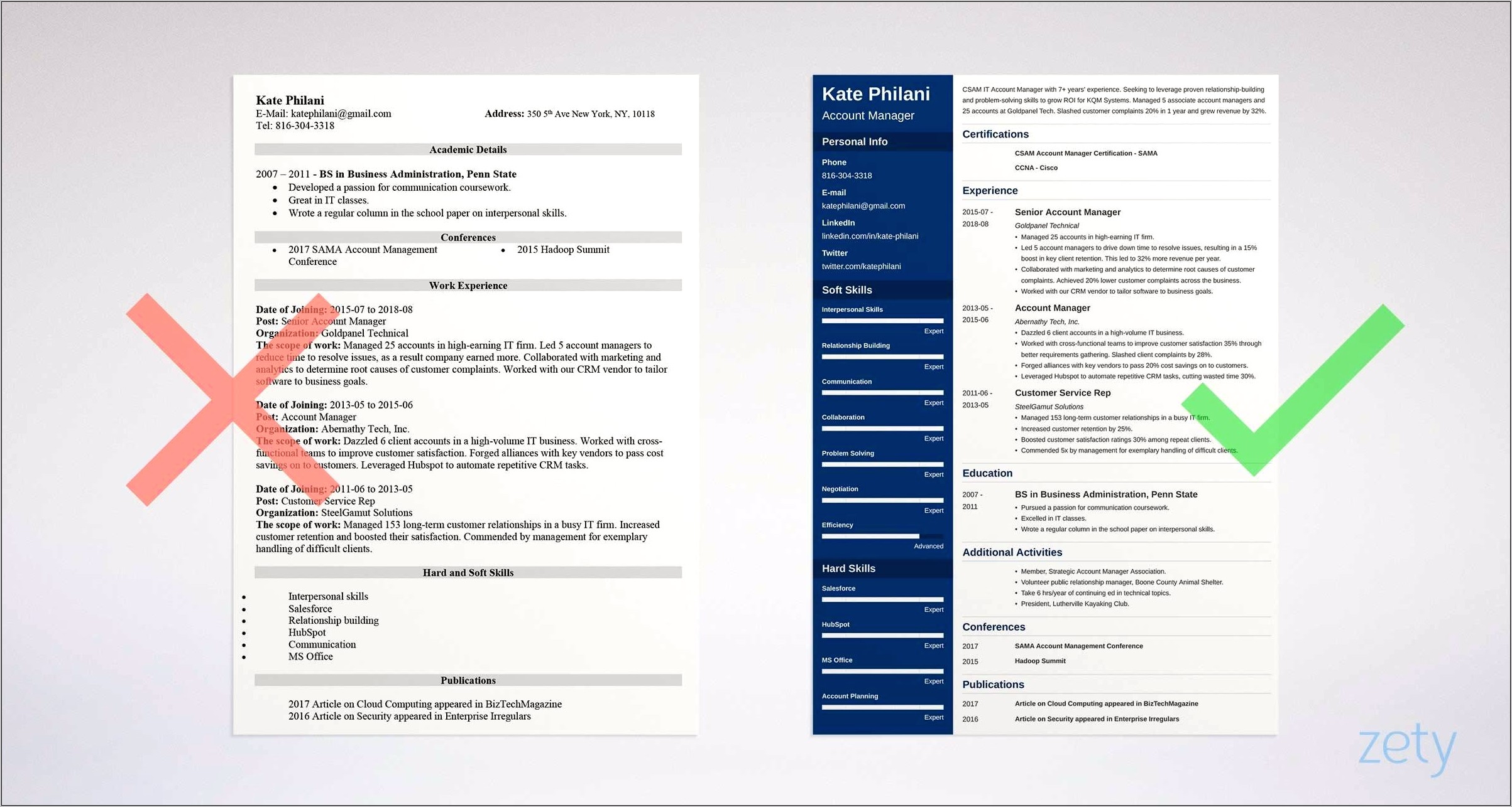 Example Of National Account Manager Resume