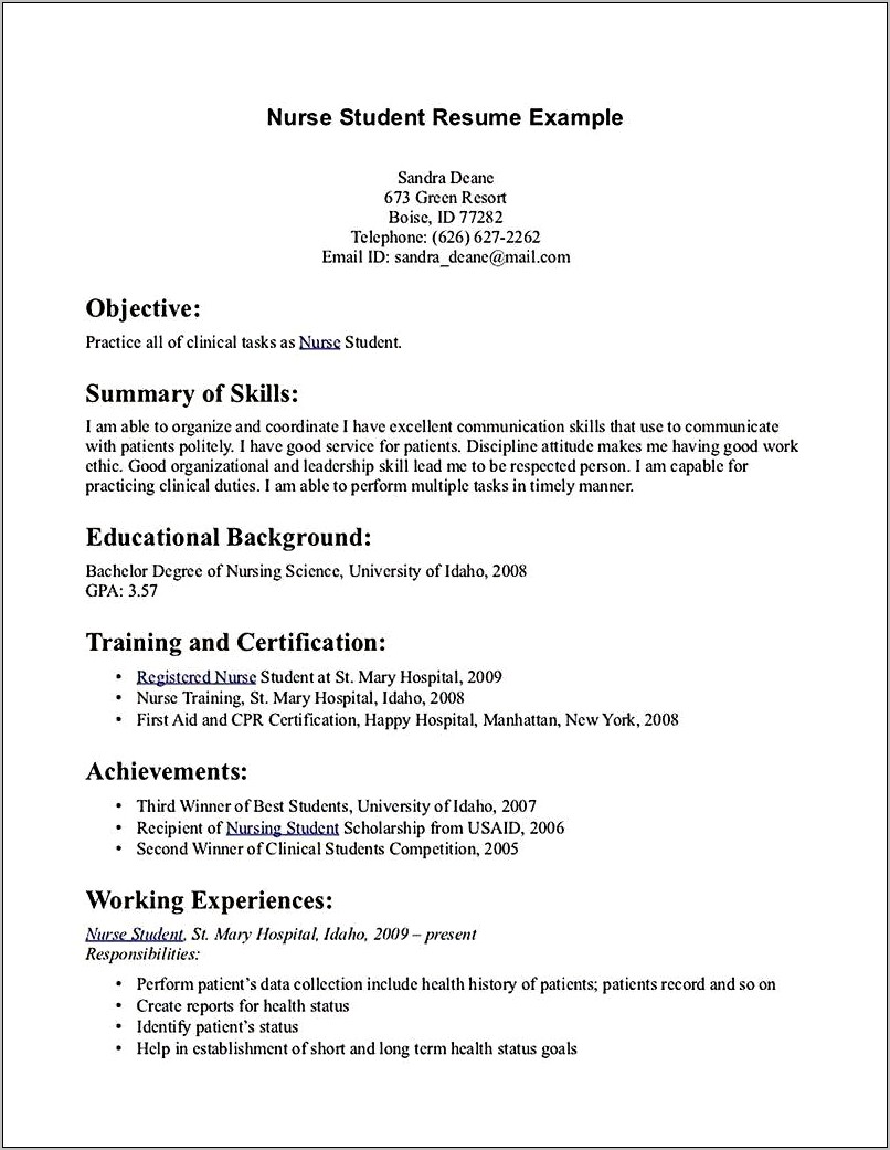 Example Of Professional Summary Resume Nursing