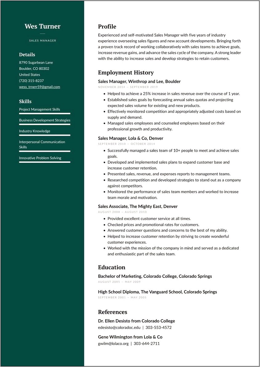 Example Of Resume Summary For Sales