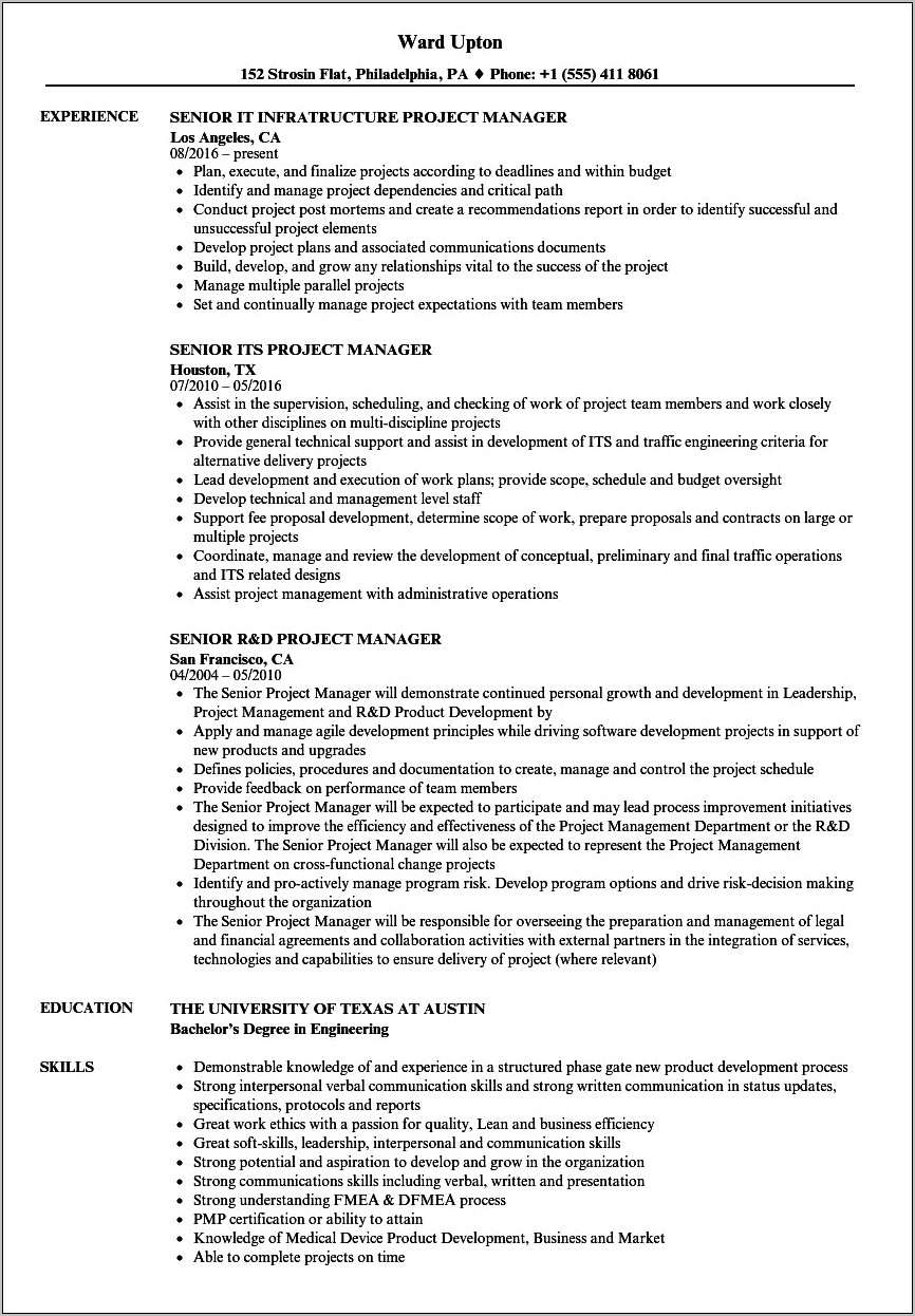 Example Of Senior Project Manager Resume