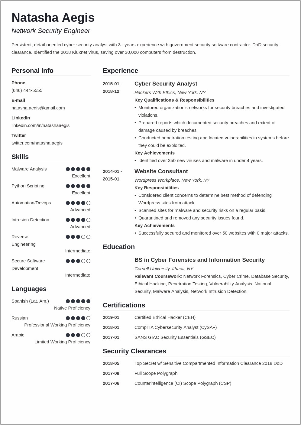 Example Resume For Cyber Security