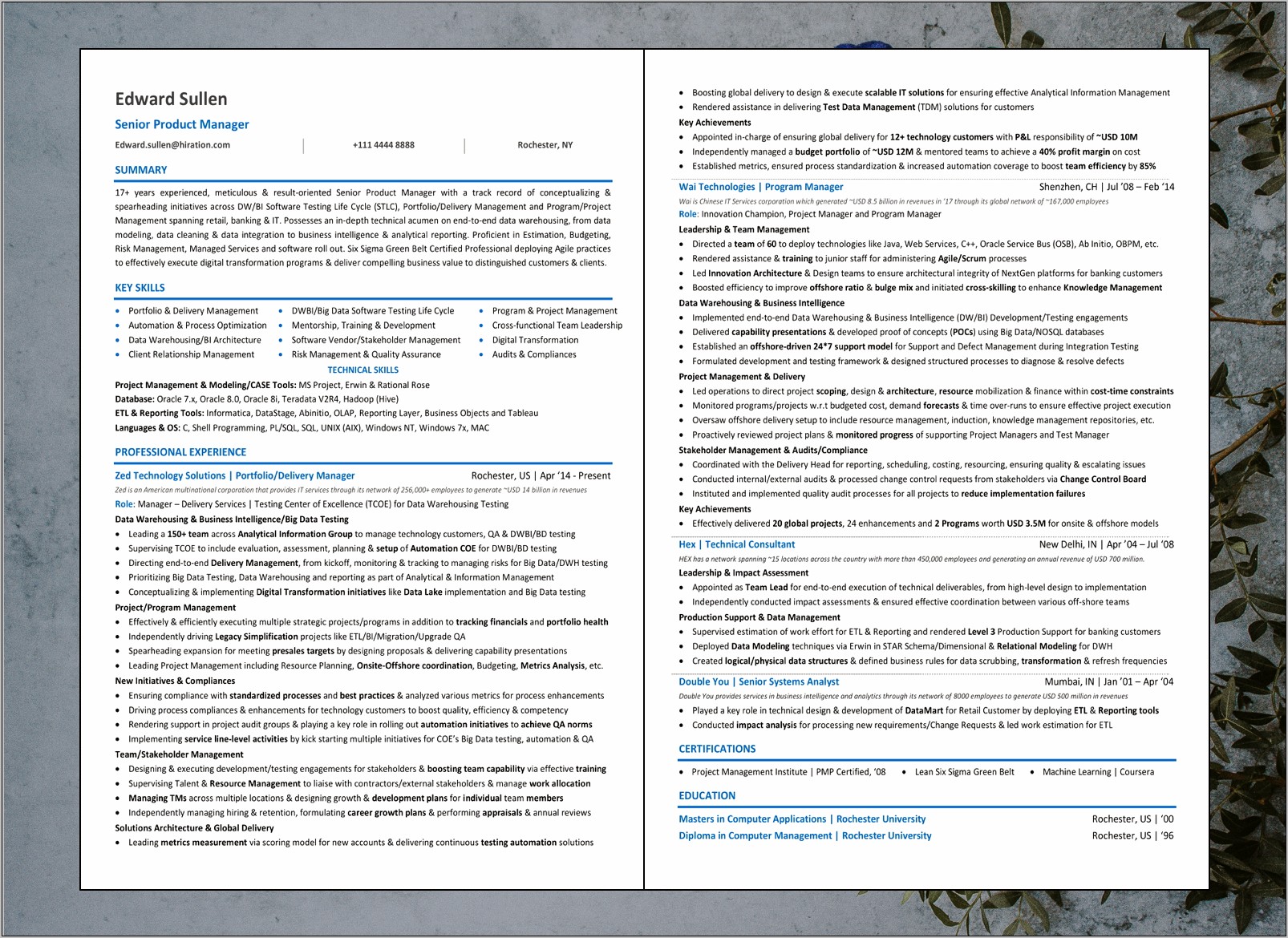 Example Resume For Experienced Professional Product Manager