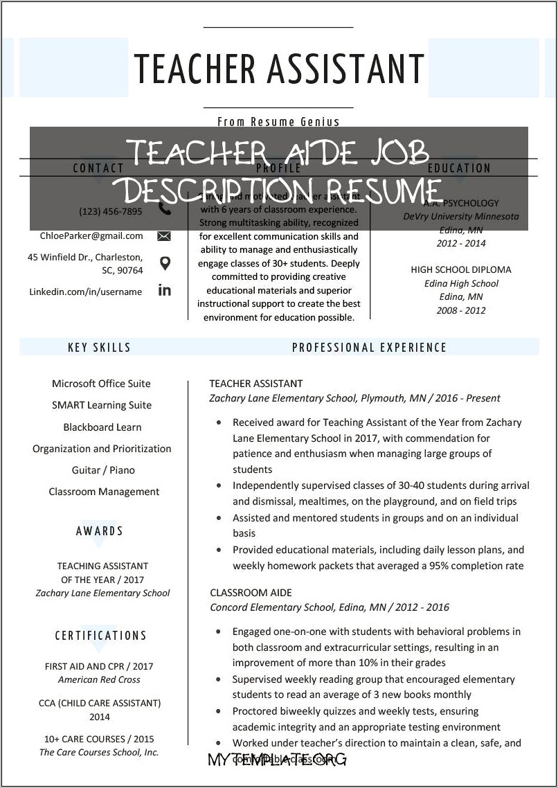 Example Summary For Resume For Teacher Assistant