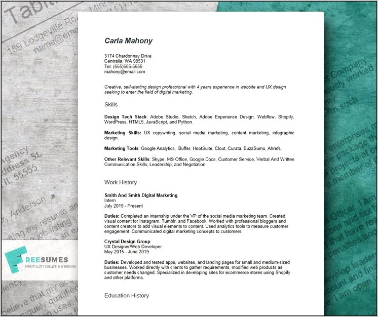 Examples Of A Great Resume For 2019