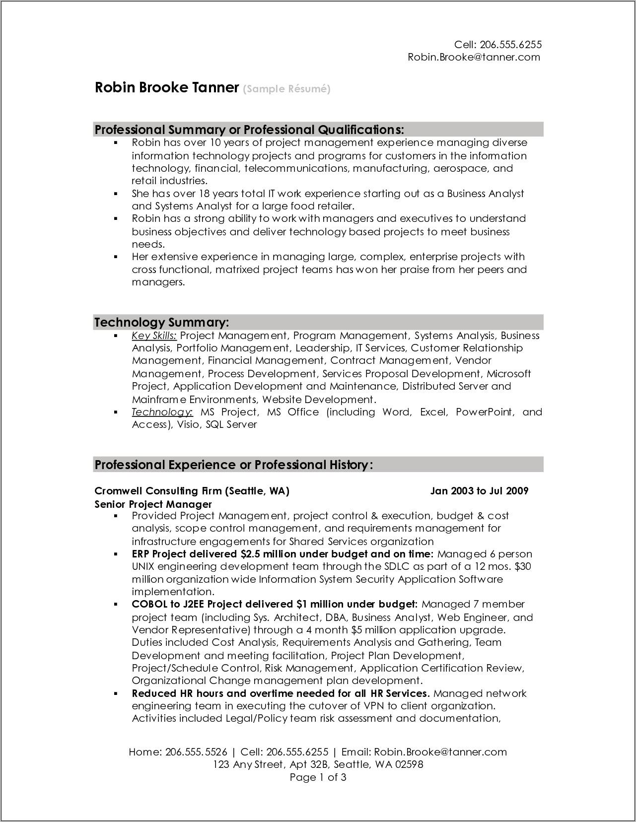 Examples Of A Professional Summary For Resume