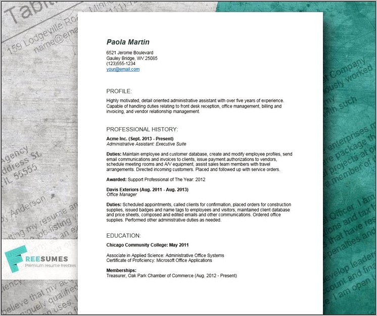 Examples Of Executive Assistant Resumes With Objective