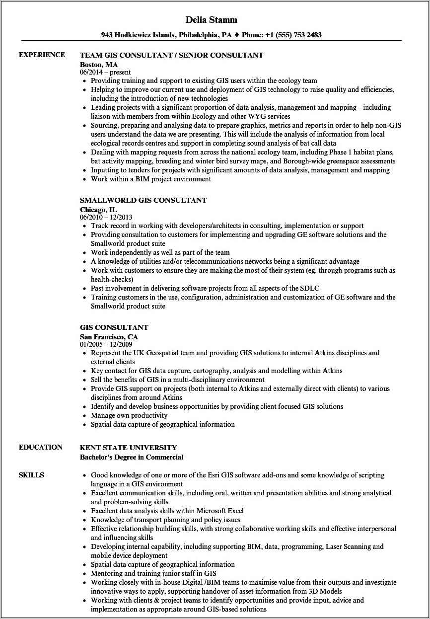 Examples Of Gis Job Resume Objectives