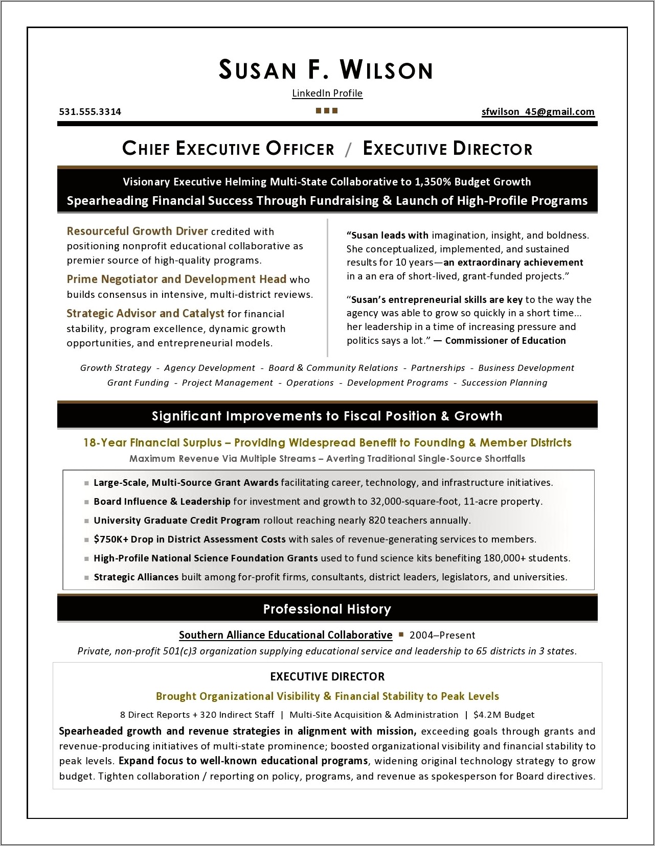 Examples Of Professional Summaries For Ceo Resumes