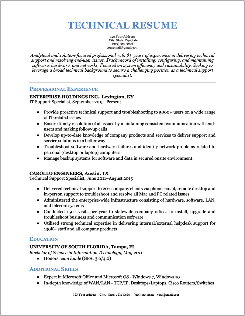 Examples Of Resume Summaries Technical Professional Position