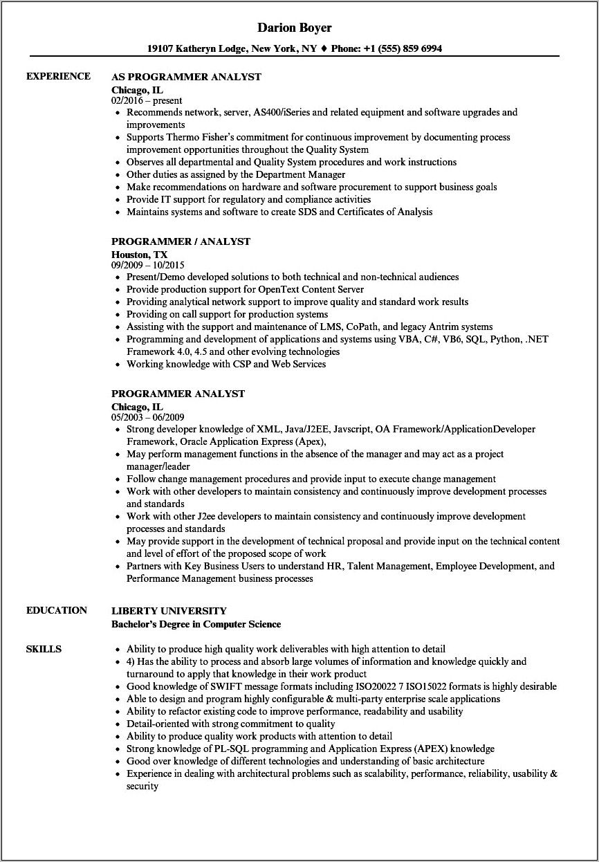 Examples Of Resume Summary For A Program Analyst