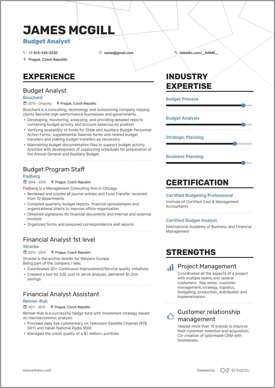 Examples Of Resumes For Budget Analyst