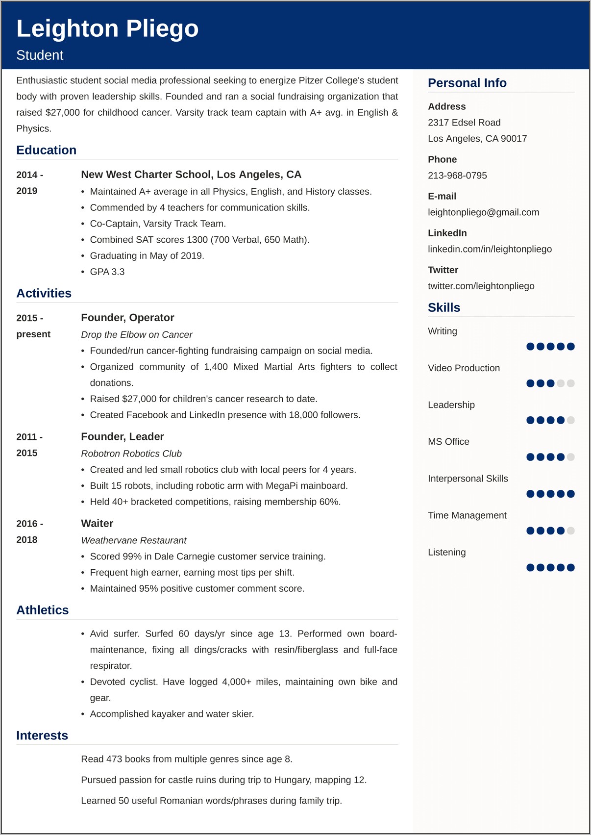 Examples Of Resumes For Online Applications