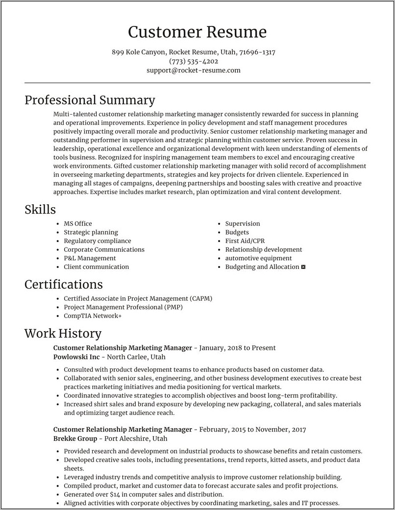 Examples Of Summary For Resume With Customer Service