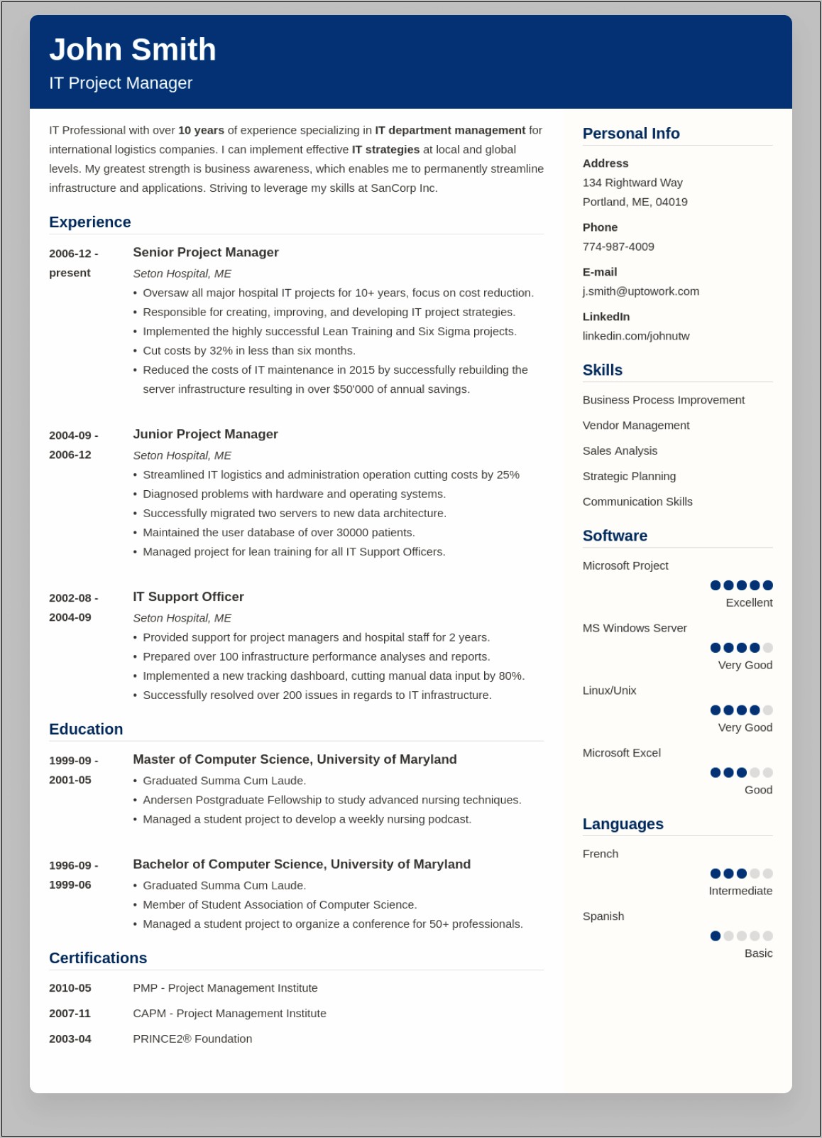 Examples Of The Top Professional Resumes