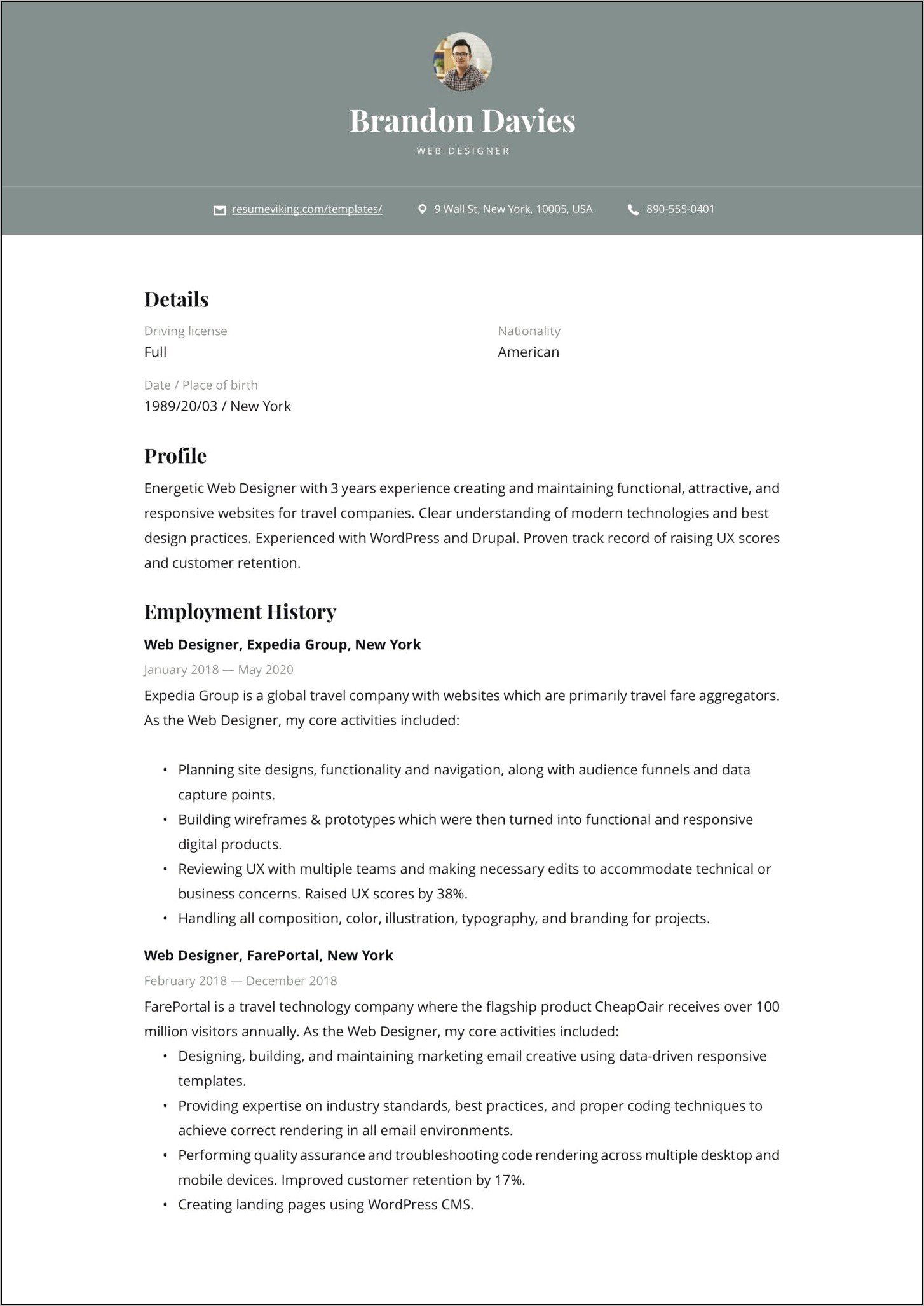 Examples Of Website Design Summary Resume