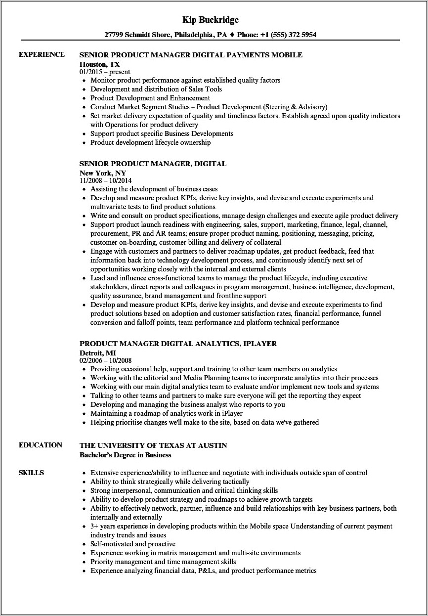 Executive Product Management Resume Template