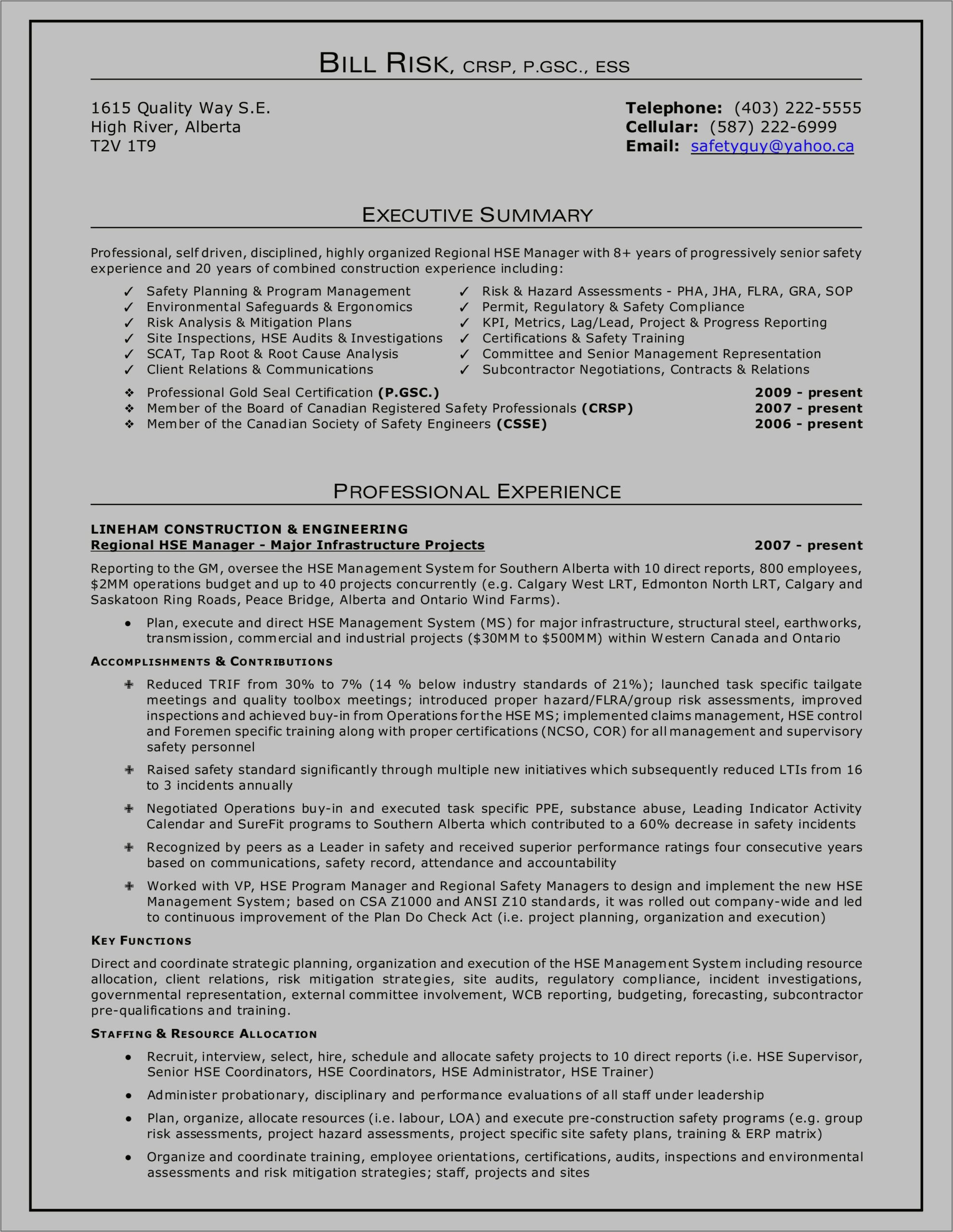 Executive Summary Example For Customer Service Resume