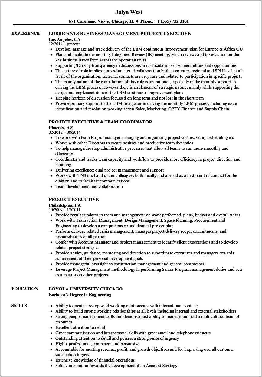 Executive Summary For A Project Manager Resume