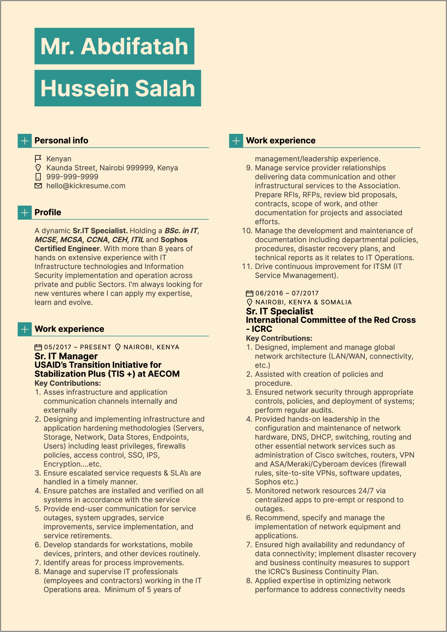 Executive Summary Resume Example Template Information Technology