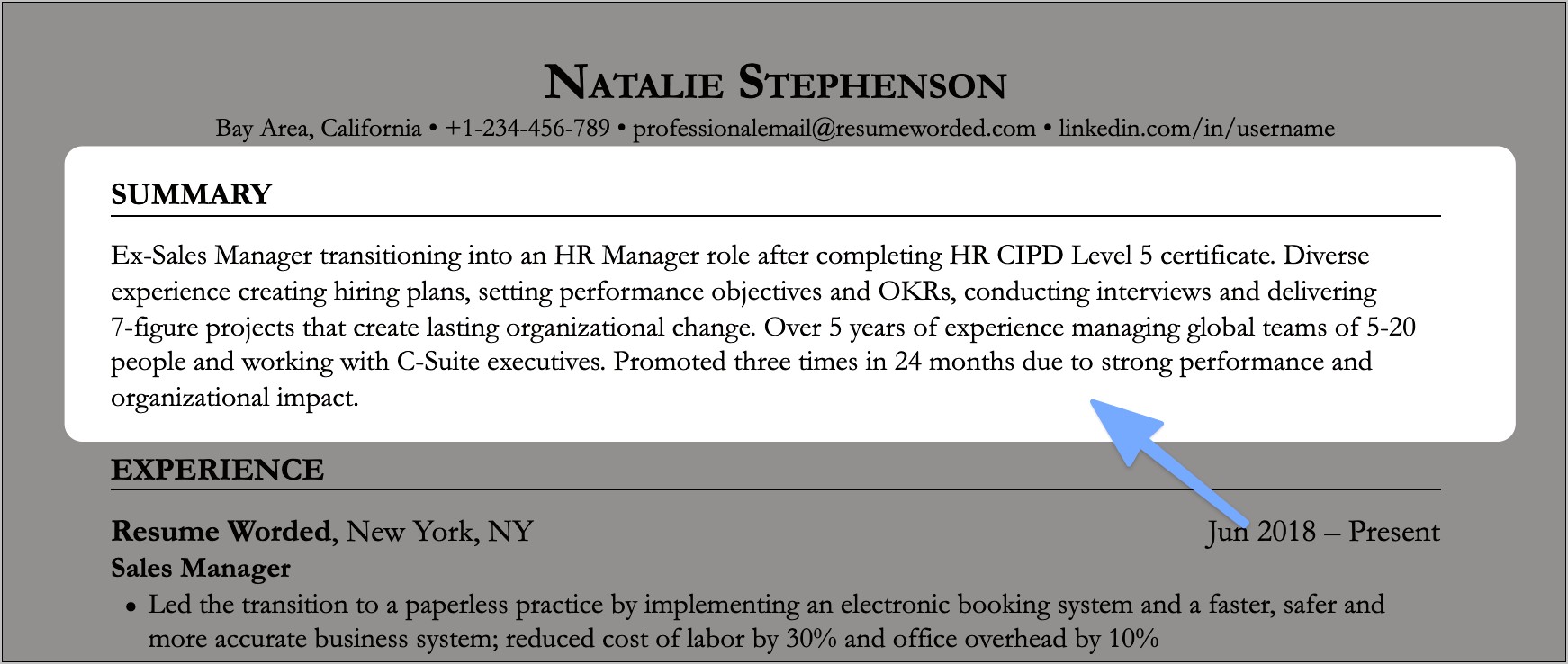 Experience Resume Opening Statement Examples