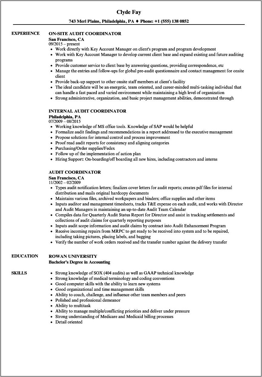 External Auditor Job Description For Resume