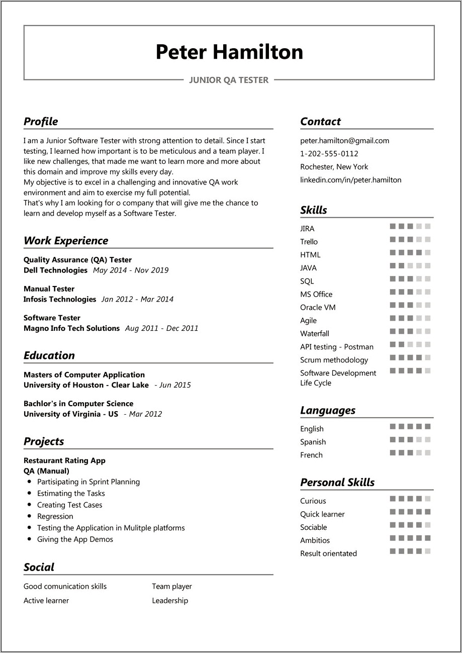 Fast Learner In Resume Summary Example