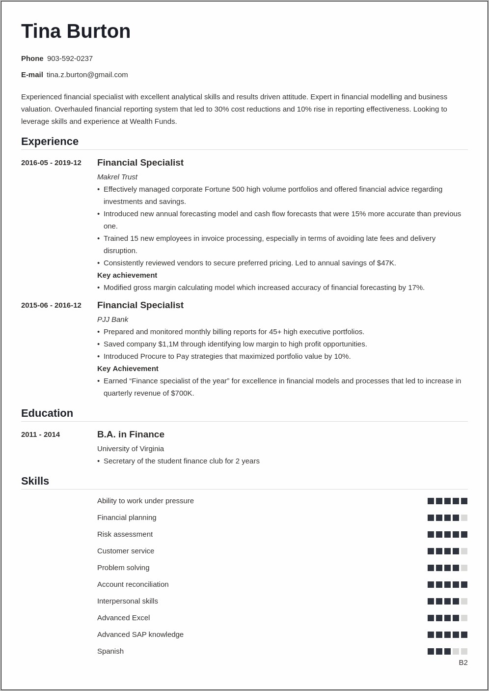 Financial Services Professional Resume Profile Sample