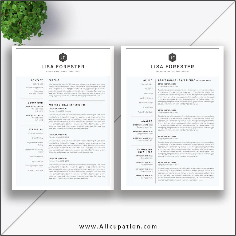 Free 2 Page Docx Resume Template