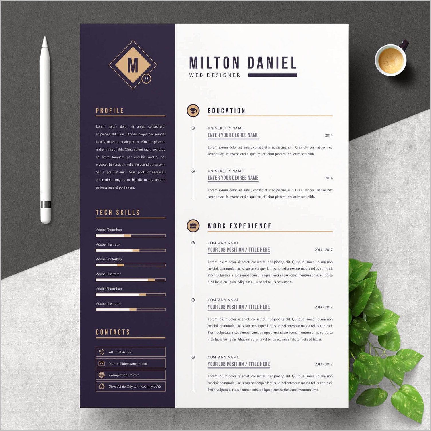 Free Downloadable Professional Resume Templates 2017