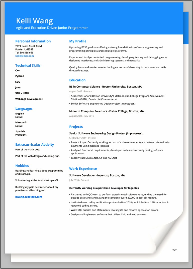 Free Eye Catching Resume Layout For Computer Coder