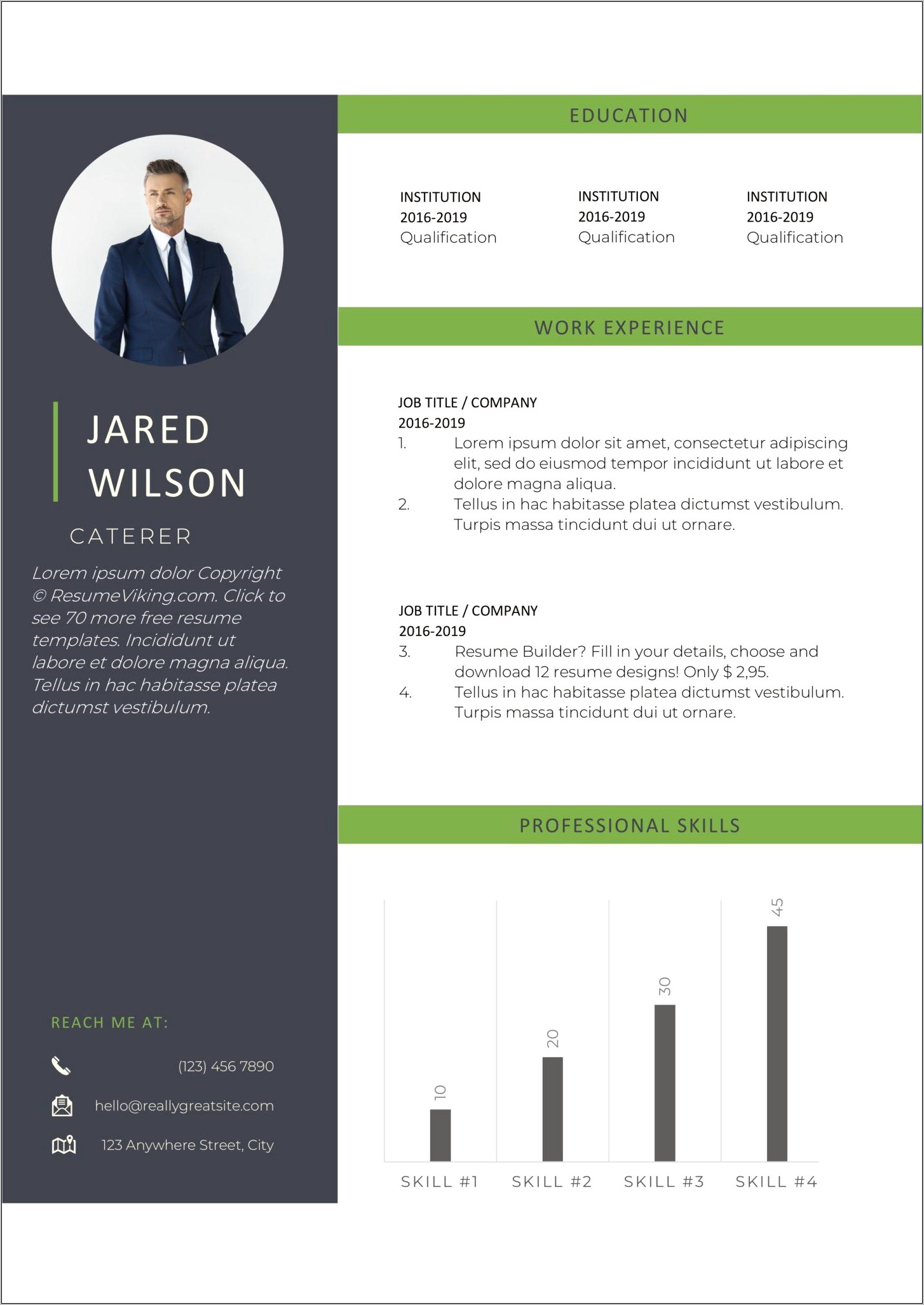 Free Functional Executive Format Resume Template
