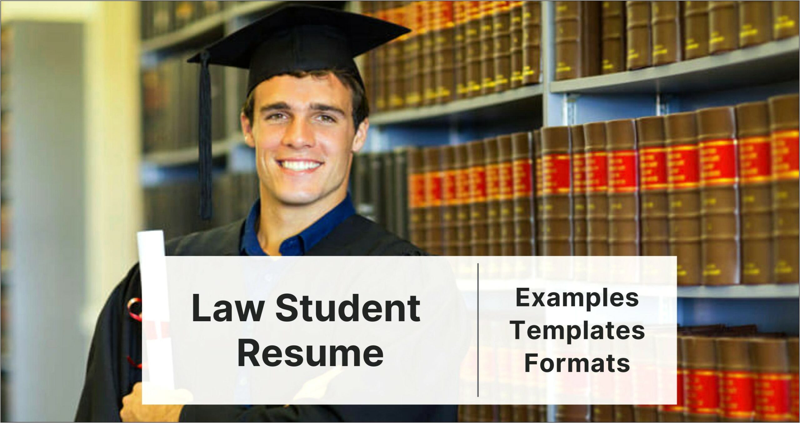 Free Law Student Resume Template