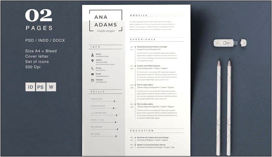 Free Online 2 Panel Resume Template