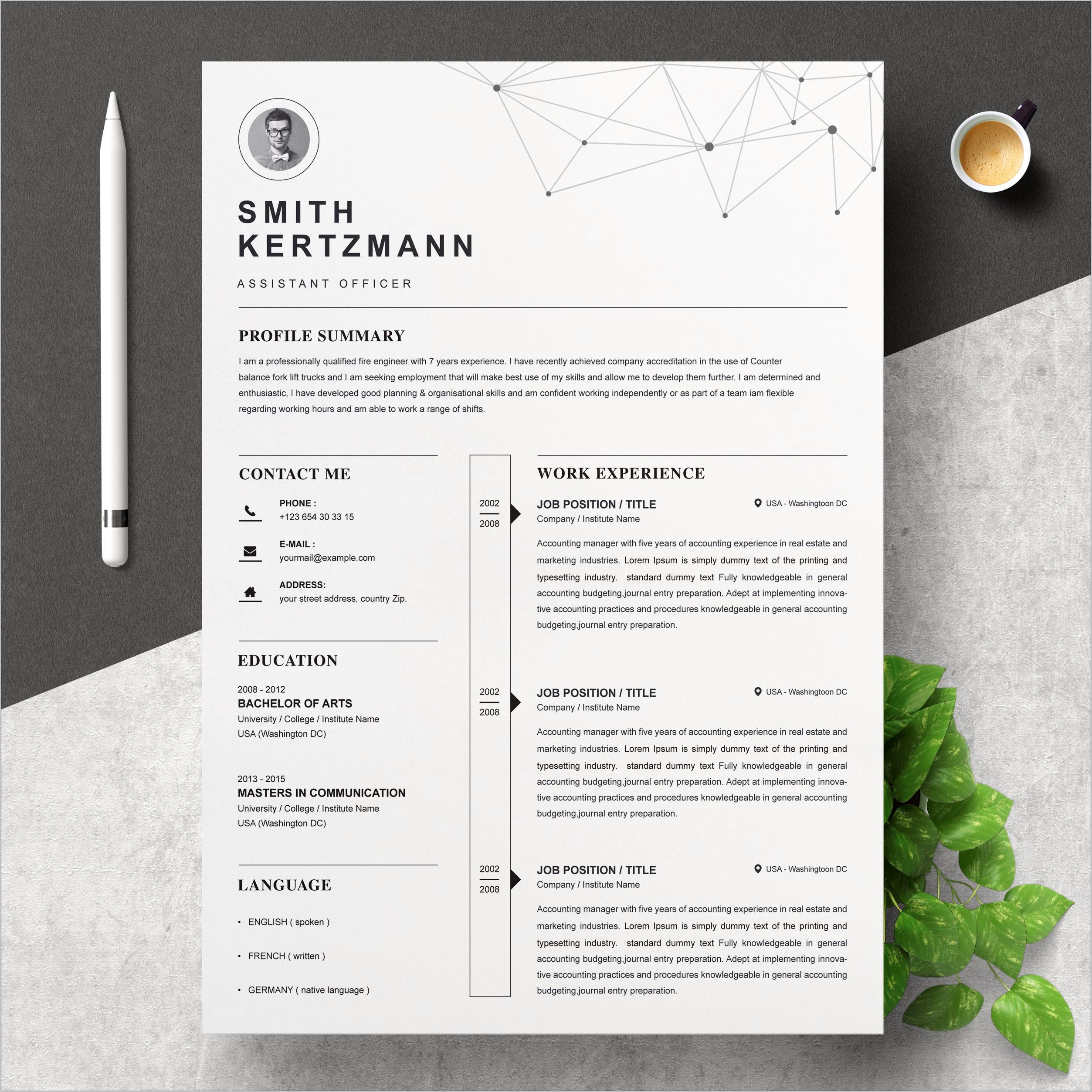 Free Professional Resume Template Download Word