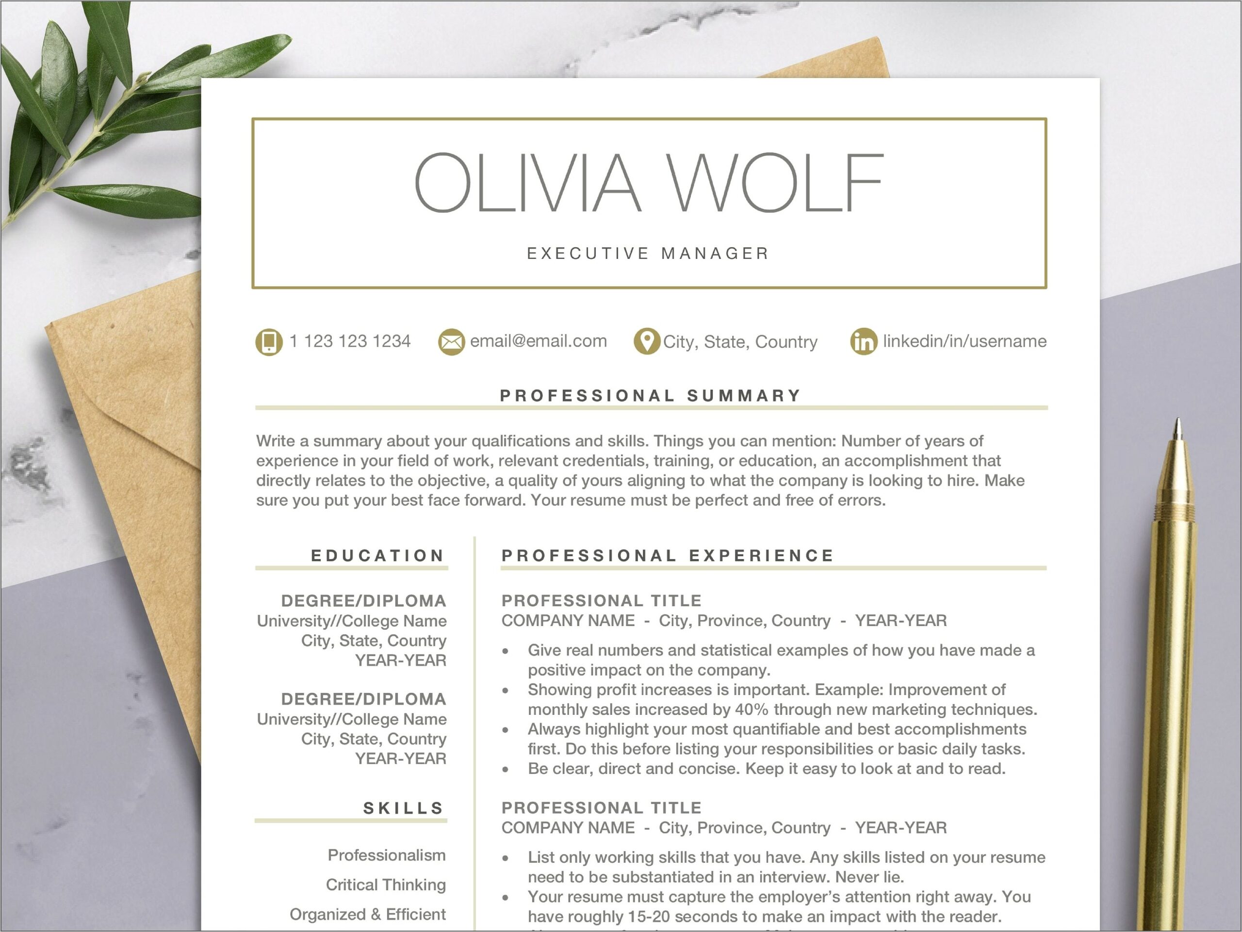 Free Professional Resume Templates For Mac