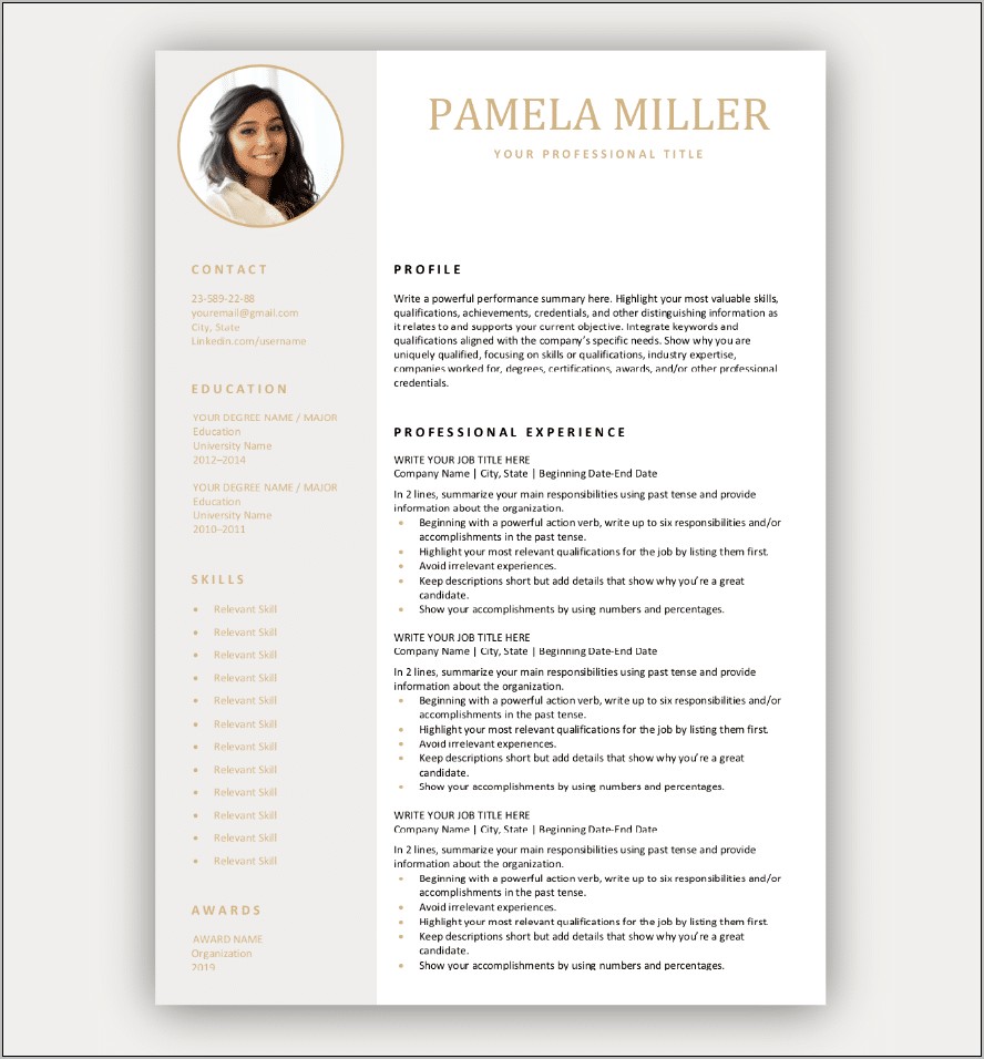 Free Resume Samples For It Professionals