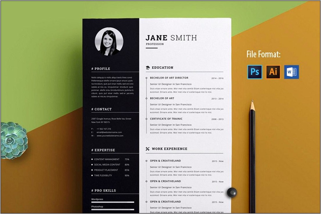 Free Resume Templates With Logo