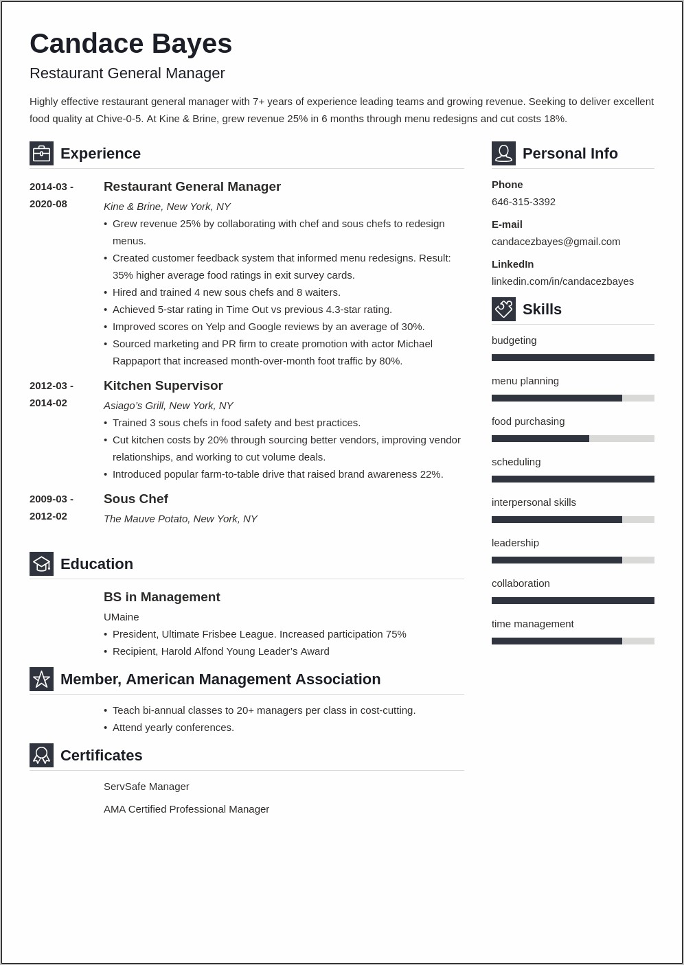 General Manager Resume Summary Of Qualifications