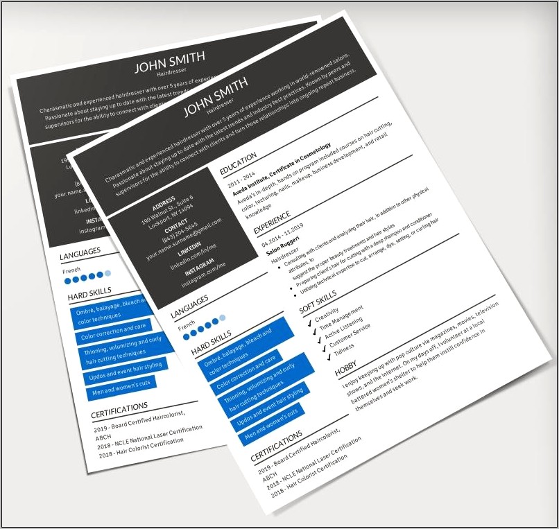 Good Resume For Sales And Development Job