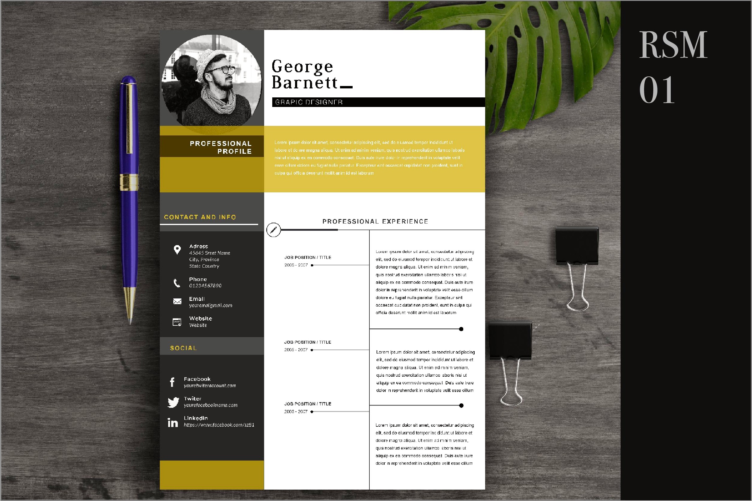 Google Docs 2 Page Resume Template