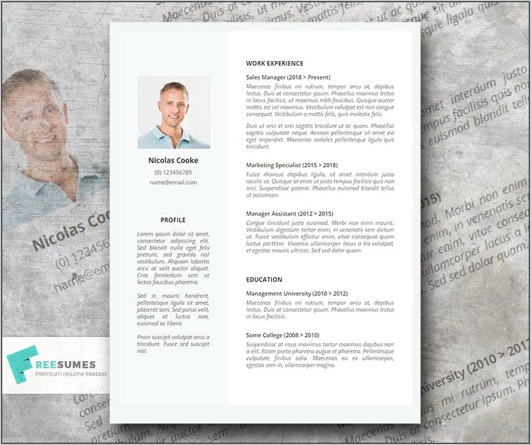 Google Docs Resume Template Extra Page
