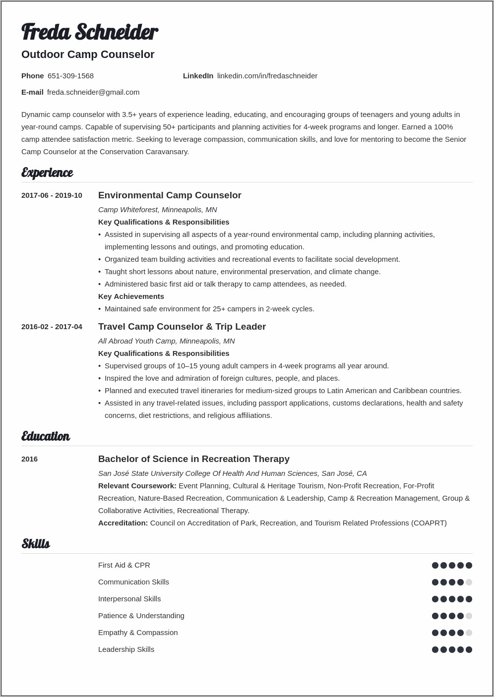 Graphic Resume Examples Camp Director Pdf