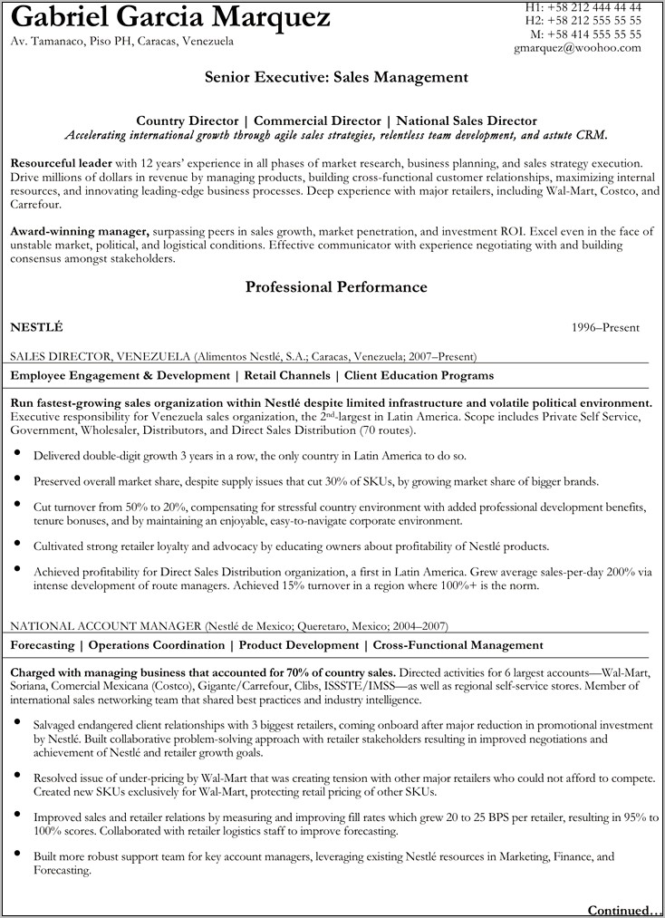 Great Executive Resume Examples In Word