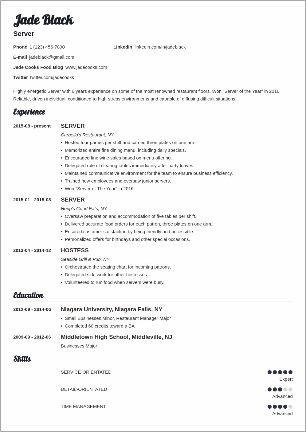Great Summary For Resume For Server